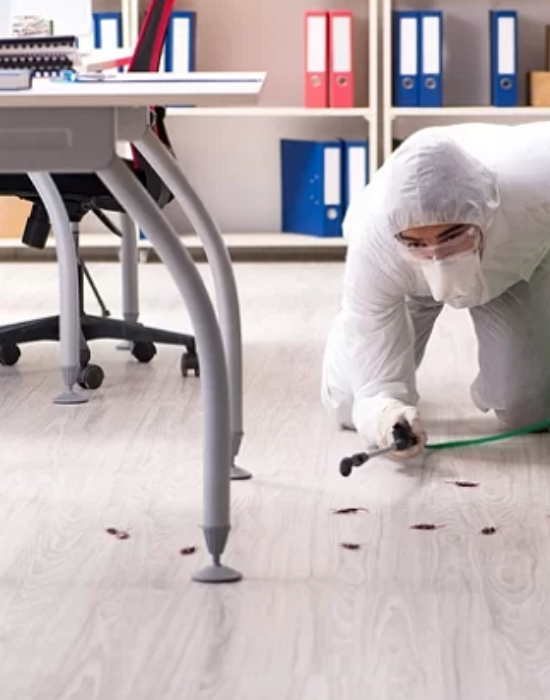 A pesticide worker spraying insects on the floor while kneeling on the floor